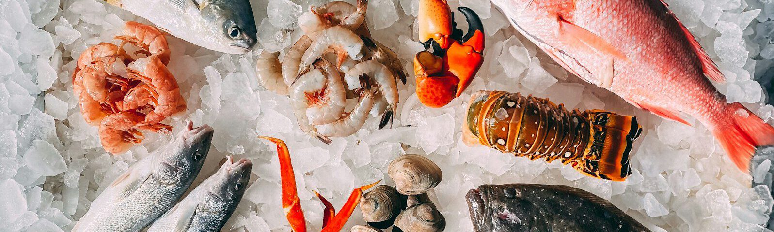 orange and white fish on white and black pebbles
